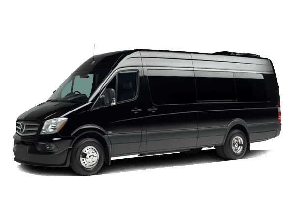 10 Passenger Executive Sprinter Limo