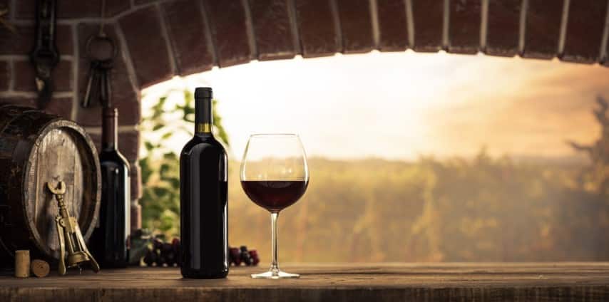 Tampa Winery Tour