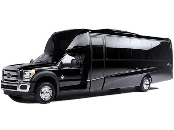 20 Passenger Party Bus